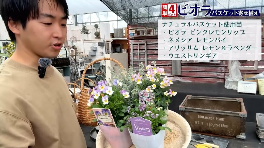 プチフルール 園芸Ch(@petit_fleur)さん投稿動画のキャプチャ