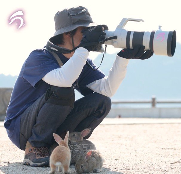 次々に集まってきたウサギたち