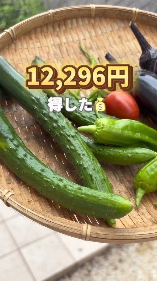 家庭菜園は元が取れる