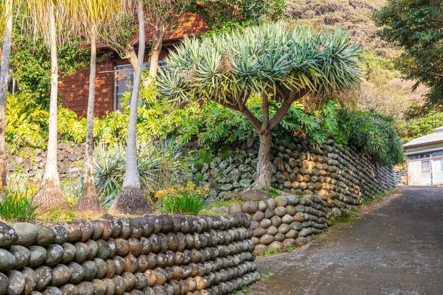 陣屋跡（大里玉石垣）