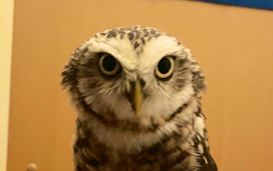 投稿写真のワンシーン