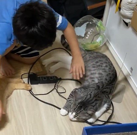 台風で休校の子供と猫