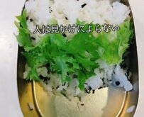 ダイエット中のシングルファザーが作る「回鍋肉弁当」　彩り豊かな盛り付けに思わず見惚れる
