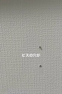 観葉植物の成長で棚を移動！ 残ったビス穴をパテと補修ペンで目立たなく直すDIY