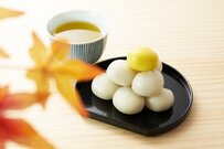 【老後の暮らし】65歳以上の一人暮らし「家計の内訳はどんな状況？」5つの加入経歴でもらえる年金を比較！