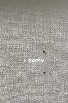 観葉植物の成長で棚を移動！ 残ったビス穴をパテと補修ペンで目立たなく直すDIY