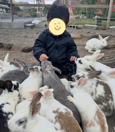 うさぎパラダイス