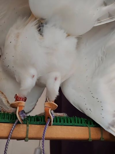 投稿動画のワンシーン