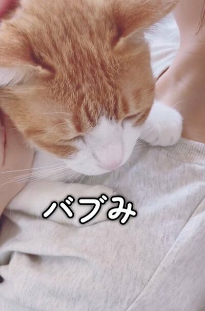 投稿動画のワンシーン