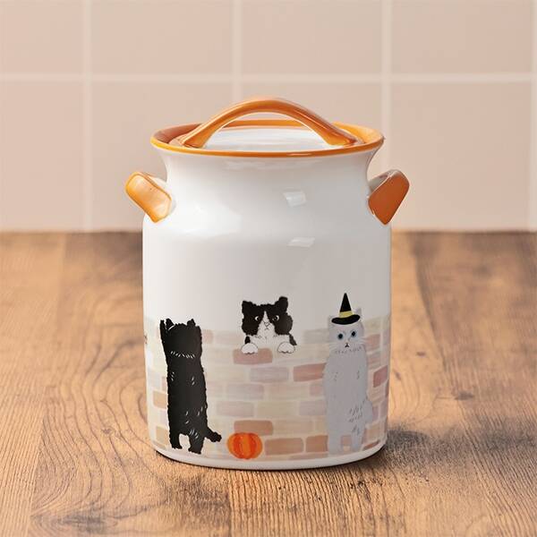 アフターユースもばっちりな陶器のキャニスター