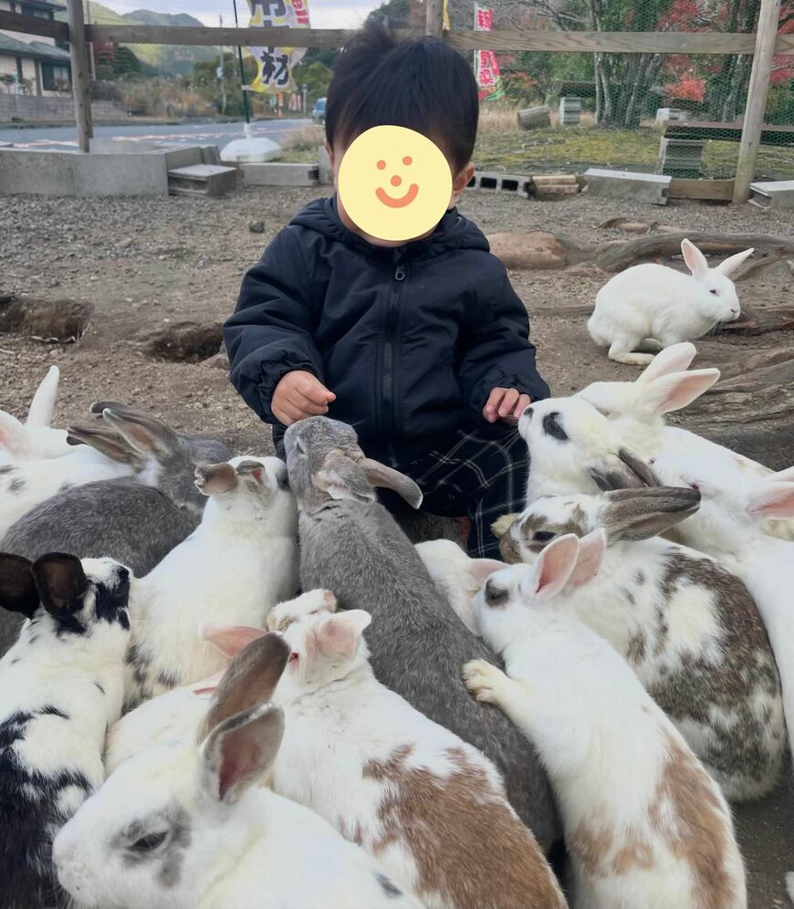 出所：＠baby_dream0606