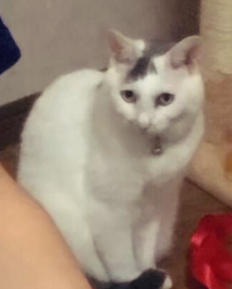 出所：@KBexVM8Idn6ae5N