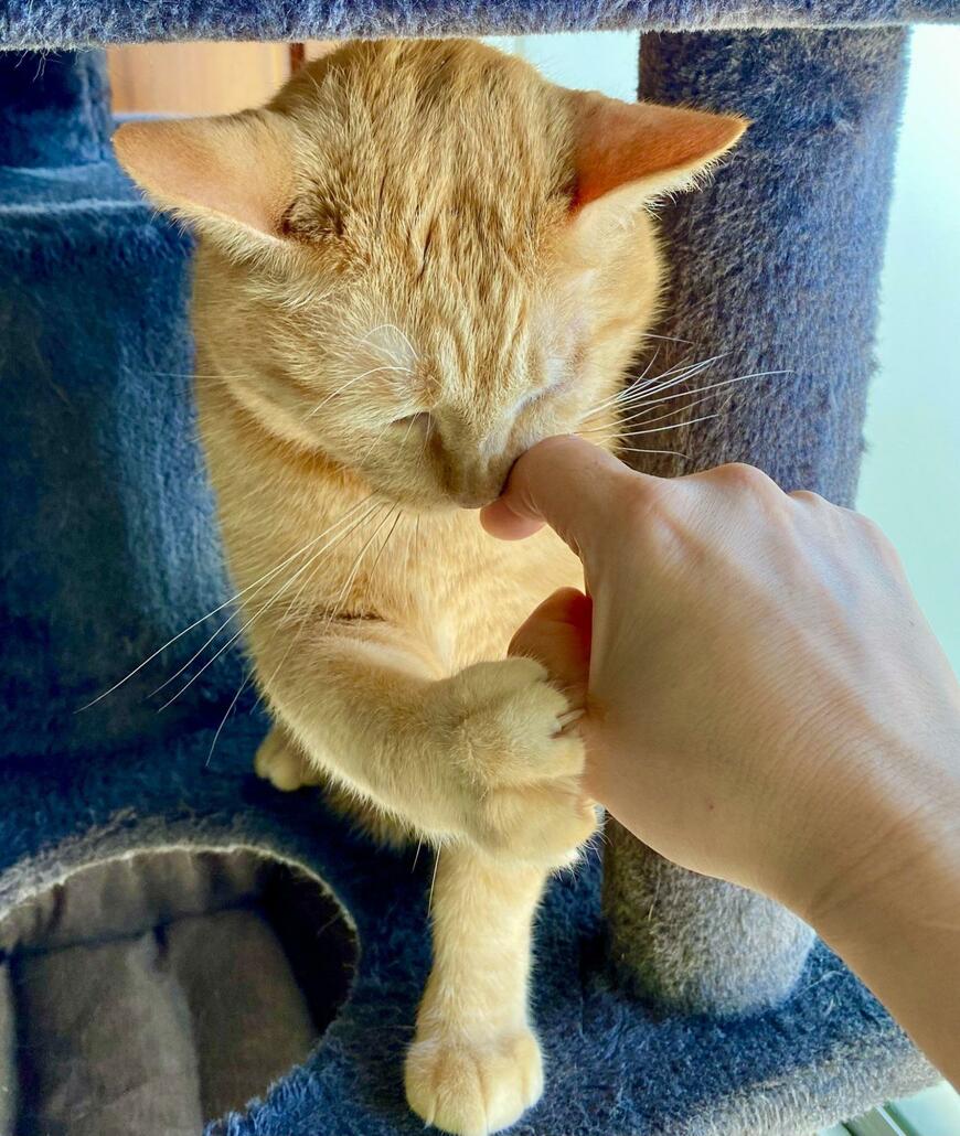 出所：@luna7taka9