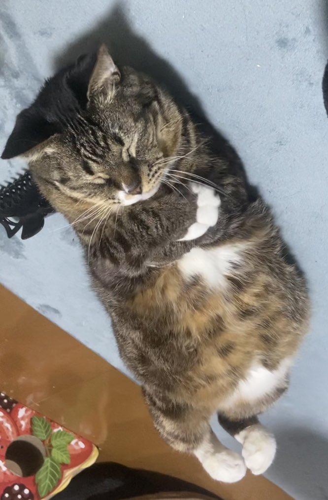 出所：@hahanekomei