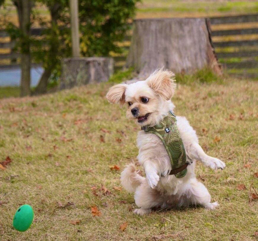 出所：@typehadari2502