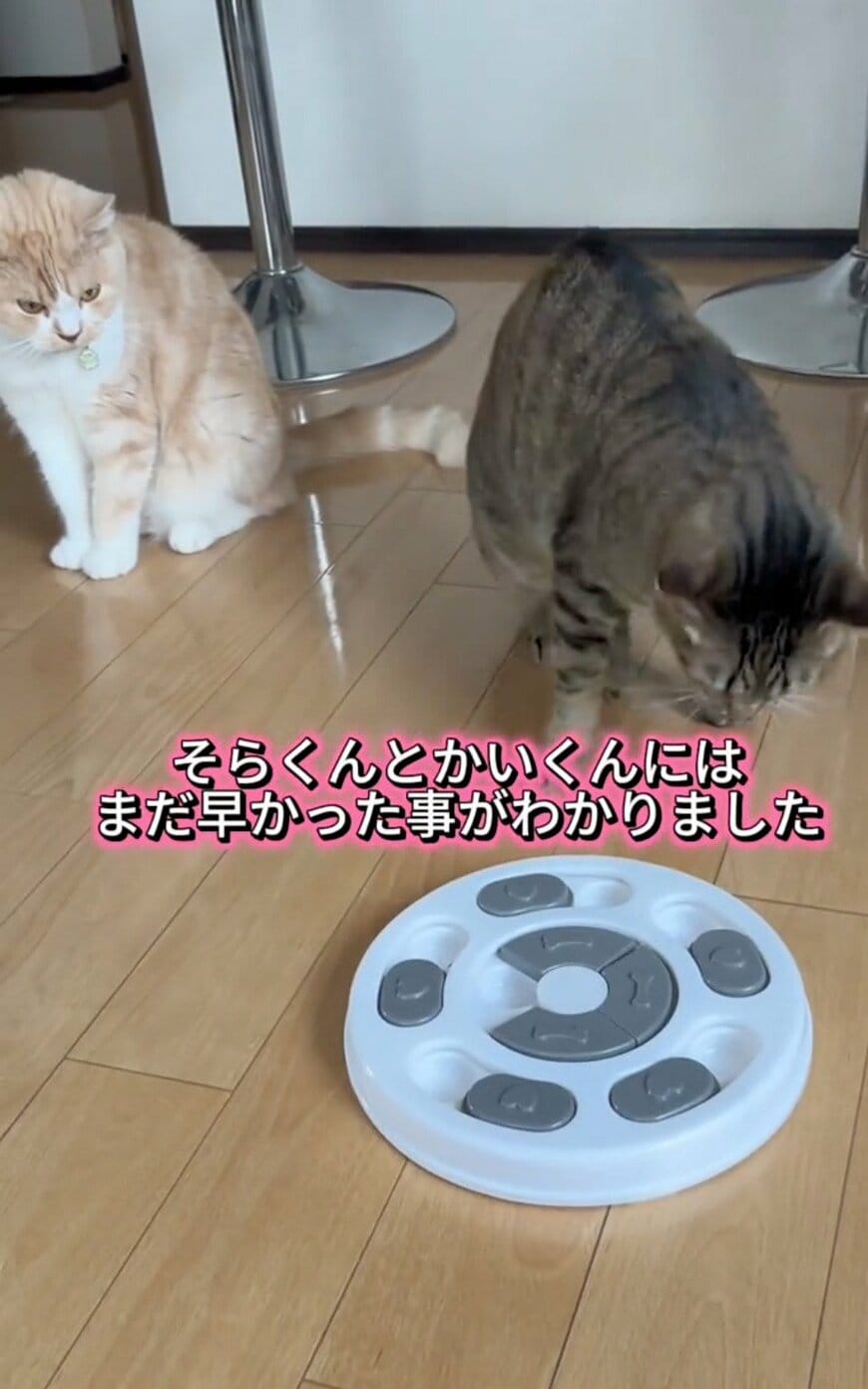 出所：@sorakai0905