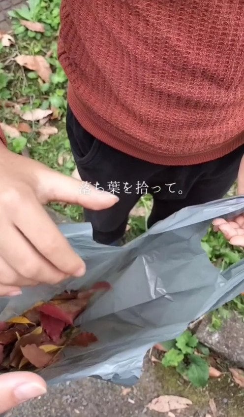 【インテリア雑貨DIY】「これが、材料費0円！？」拾った落ち葉→おしゃれな紅葉ドライフラワーに大変身！