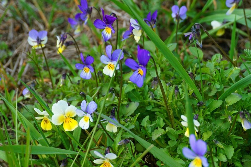 awafijolek/istockphoto.com