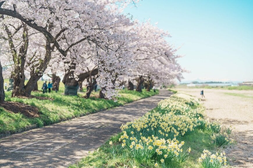 Jo Panuwat D/shutterstock.com