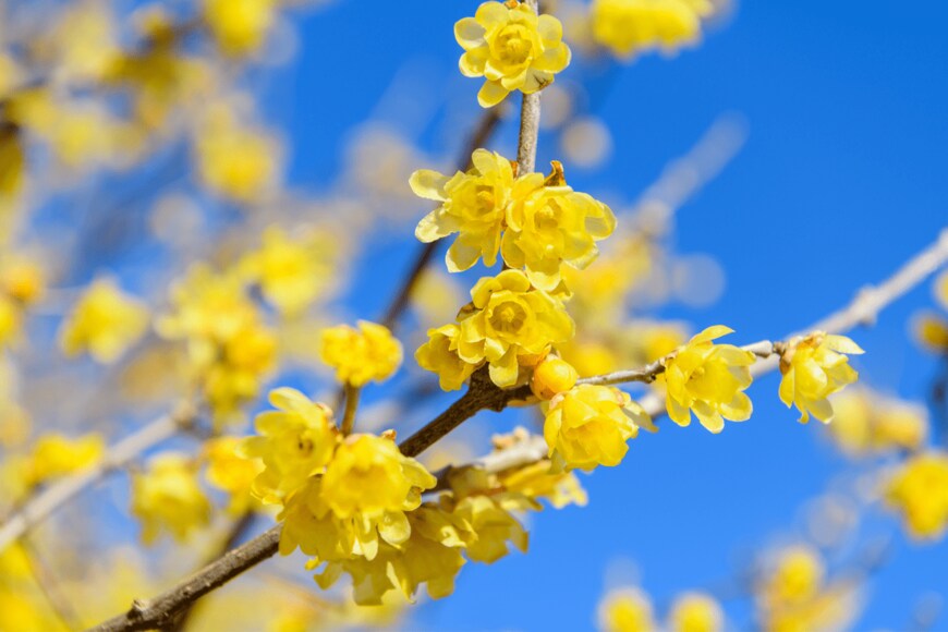 backpacking/shutterstock.com