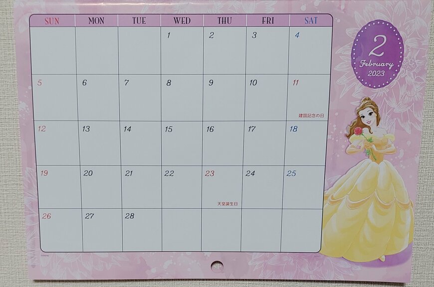 筆者撮影（ダイソー、壁掛けカレンダー（ディズニープリンセス）