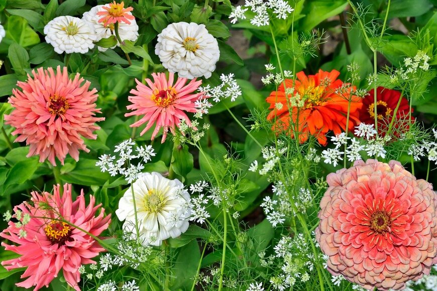 Rvo233/istockphoto.com