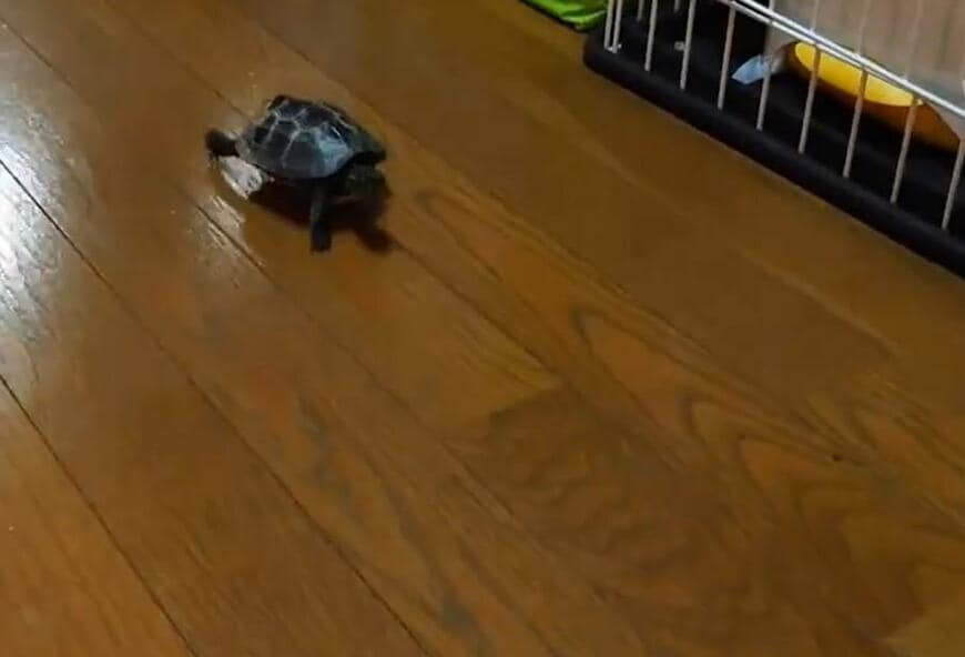 出所：@Mh0MLiErcV8E97C