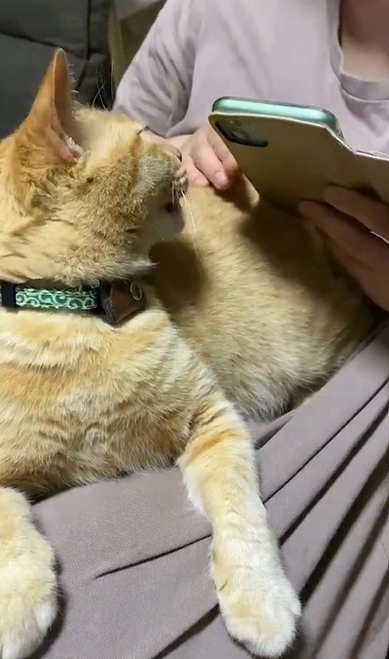 出所：@luna7taka9