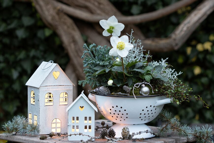 Natalia Greeske/Shutterstock.com