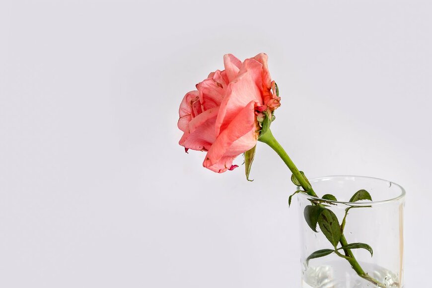 Farosofa/Shutterstock.com