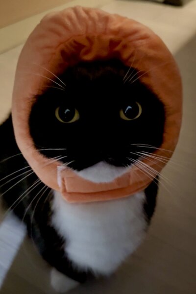 出所：@unicouniuni3