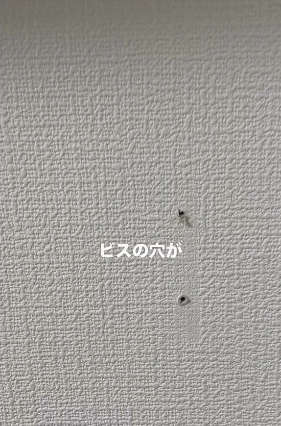 観葉植物の成長で棚を移動！ 残ったビス穴をパテと補修ペンで目立たなく直すDIY