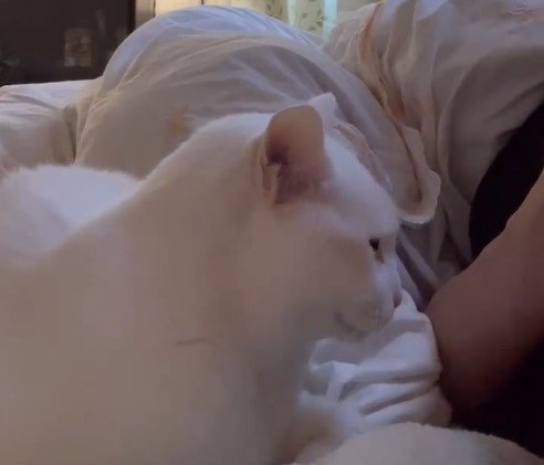 出所：@mayumi196300