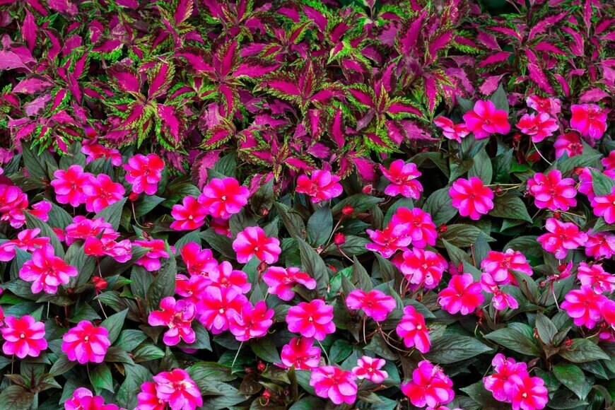 Nagel Photography/shutterstock.com