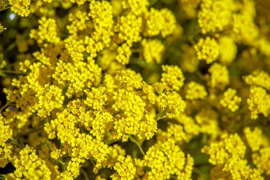 Licvin/shutterstock.com