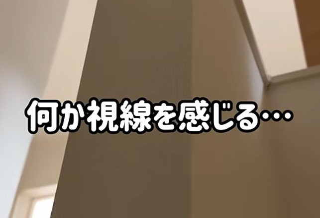 「寂しかったんだけど～？」頭上から無言の視線を送る猫　すさまじい圧に飼い主さんもタジタジ