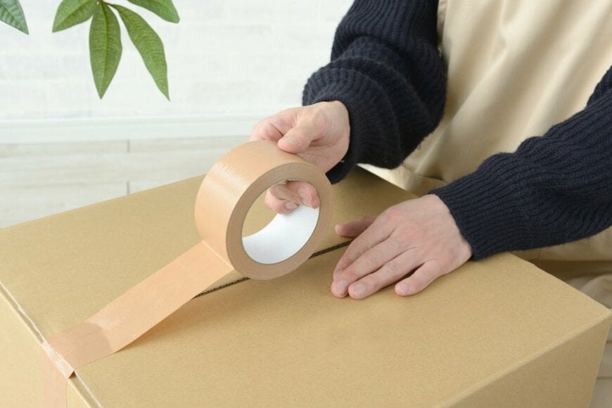 takasu/shutterstock.com