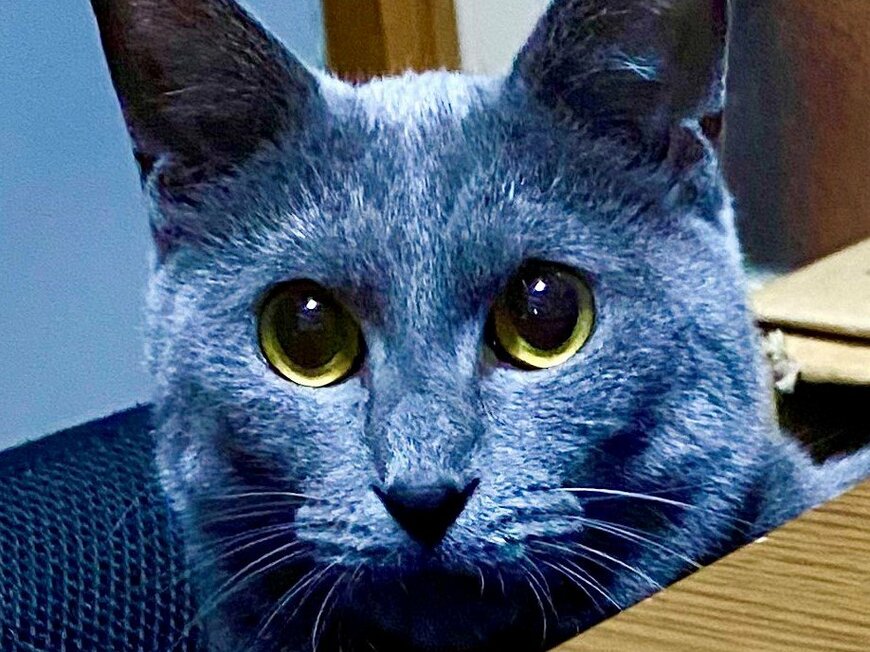 出所：@luna7taka9