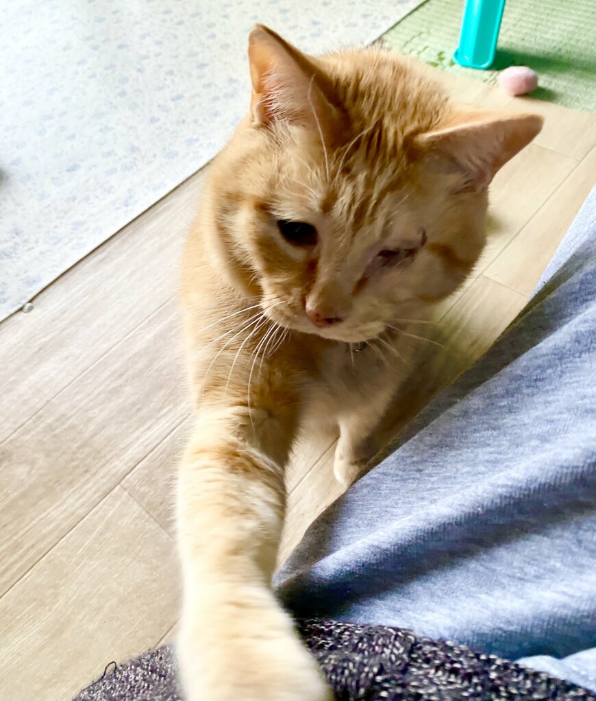 出所：@luna7taka9