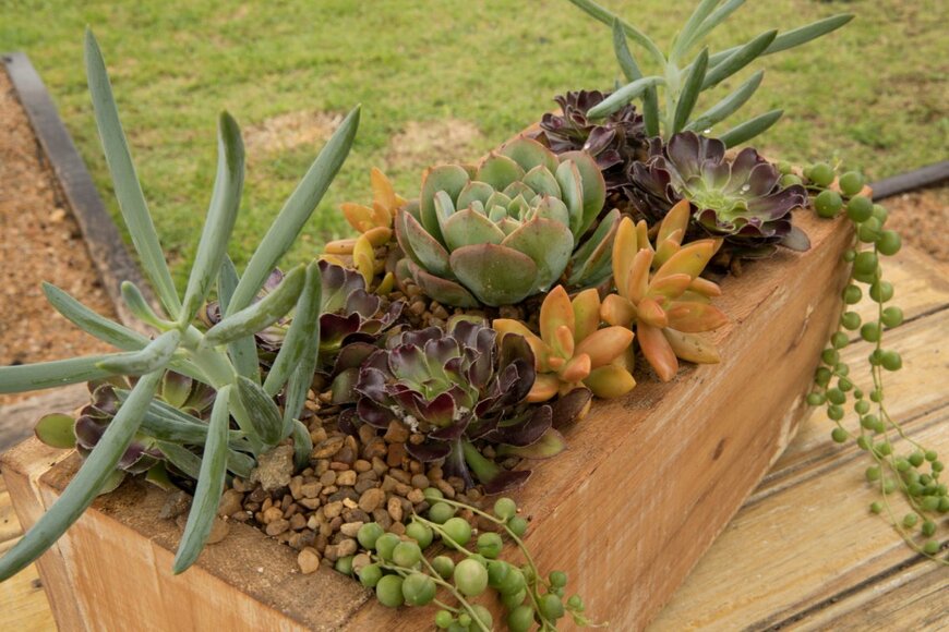 Gonzalo de Miceu/istockphoto.com