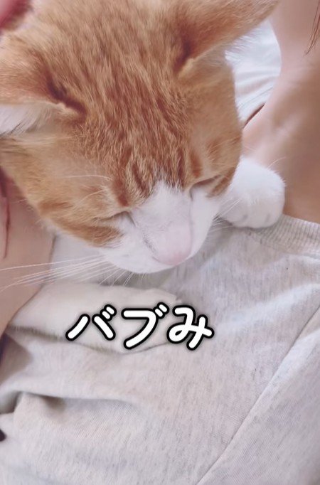 出所：@miko_nekoneko