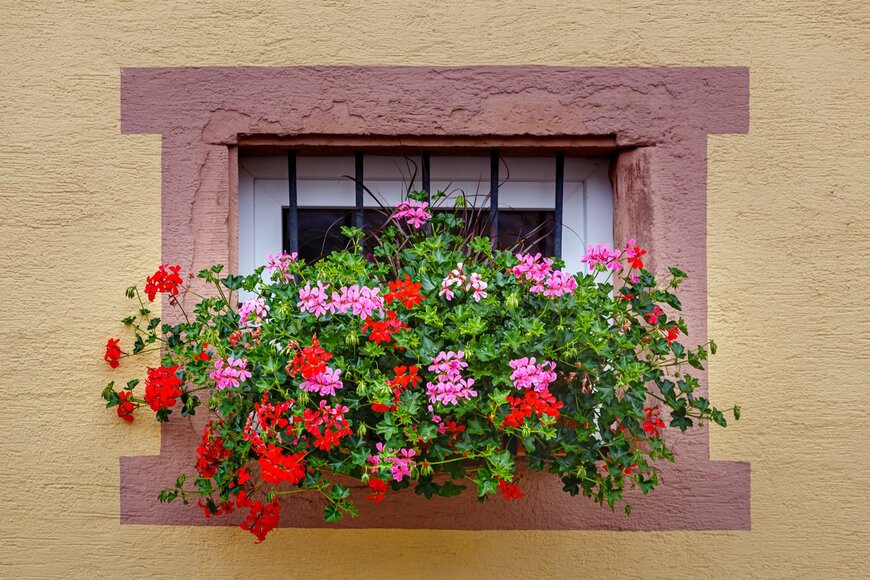 nnattalli/Shutterstock.com