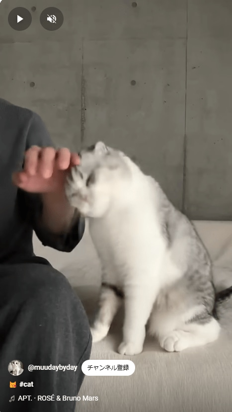 出所：@muudaybyday