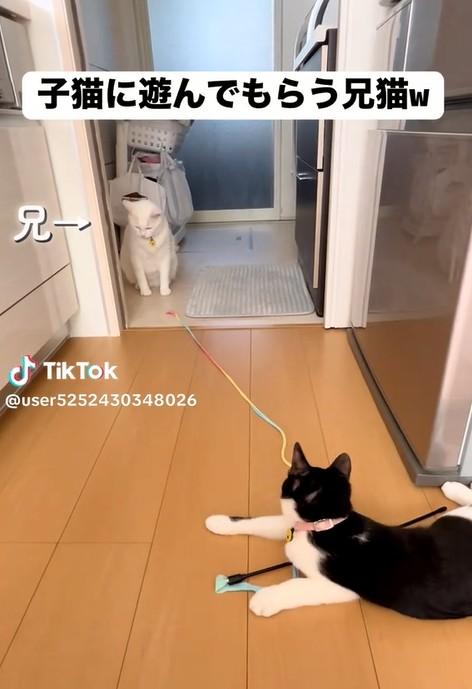 出所：@user5252430348026