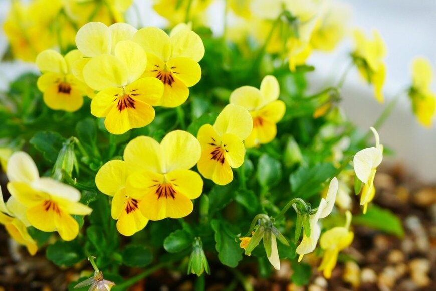 croquette/istockphoto.com