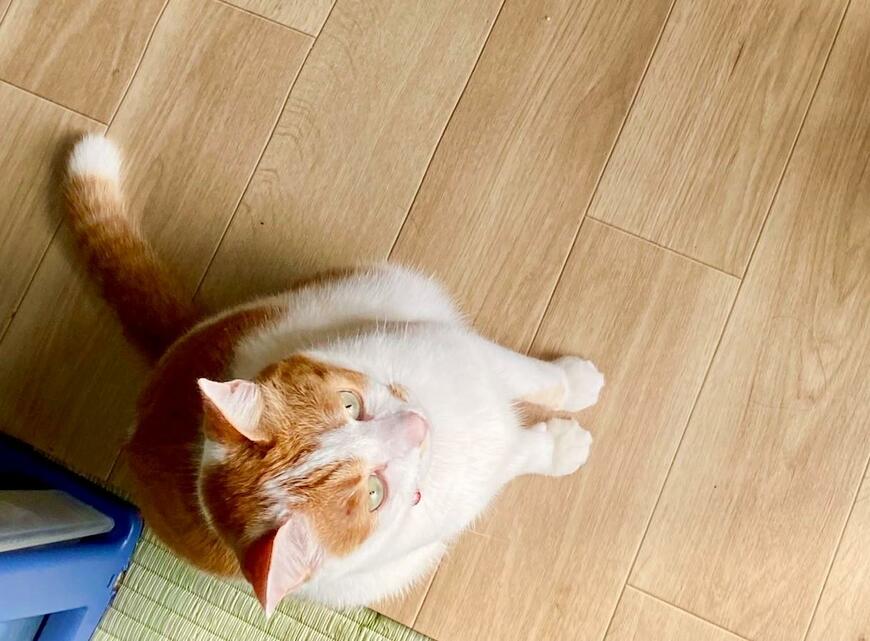 出所：@luna7taka9