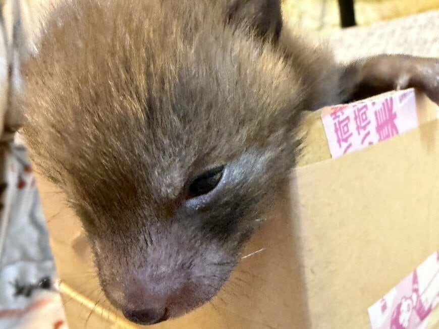 投稿の画像
