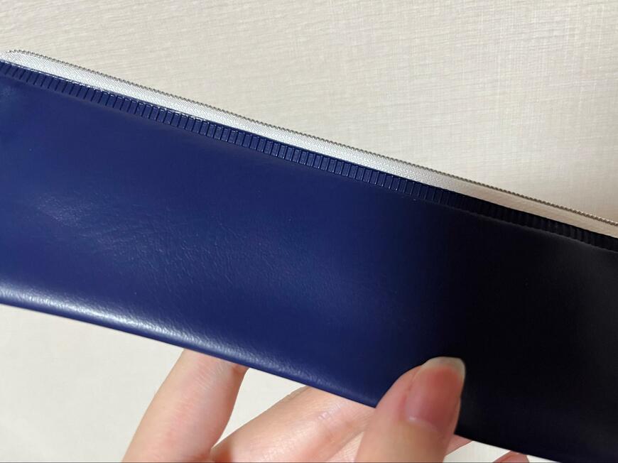 キャンドゥ、PVCペンケース 宮沢賢治画像