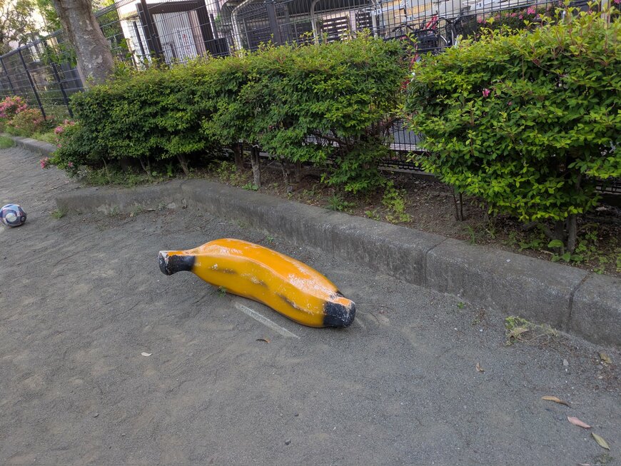 1本のバナナが落ちていたのみ…
