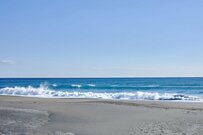 能登半島地震後の新潟県の海岸で見つかったのは…　「思わず目を疑う漂流物」に驚きの声